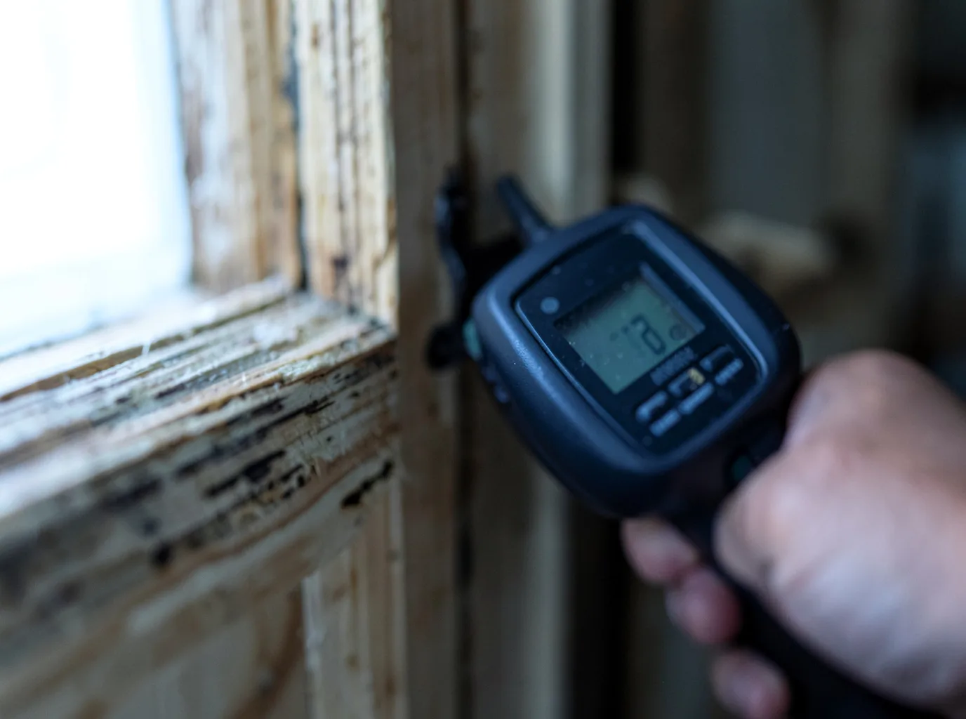 Moisture Inspection And Documentation in Salamanca, NY